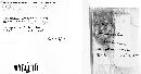 Aspergillus awamori image