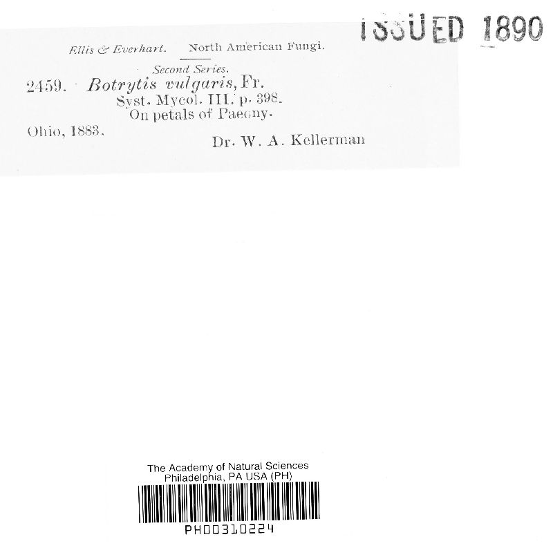 Botryotinia fuckeliana image
