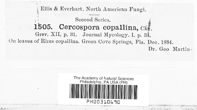 Cercospora copallina image