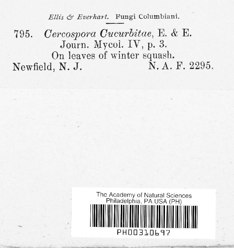 Didymella bryoniae image