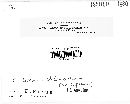 Graphiopsis chlorocephala image