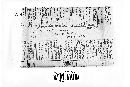 Berkleasmium concinnum image