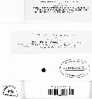 Tilletia fusca image