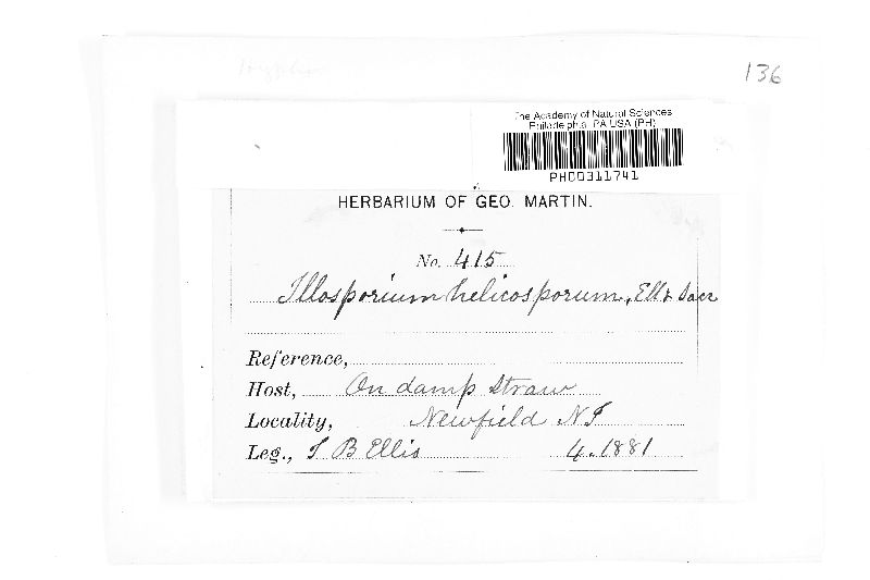 Illosporium coccinellum image