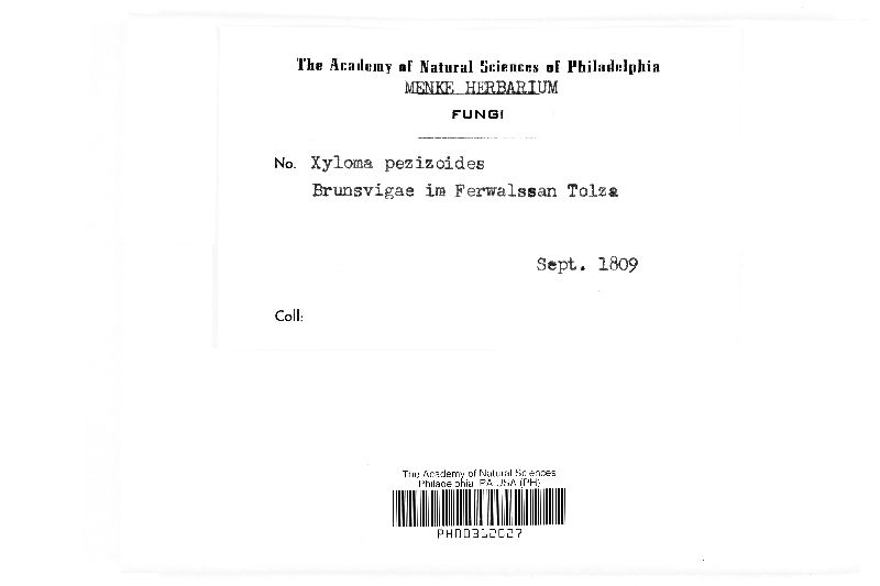 Xyloma pezizoides image