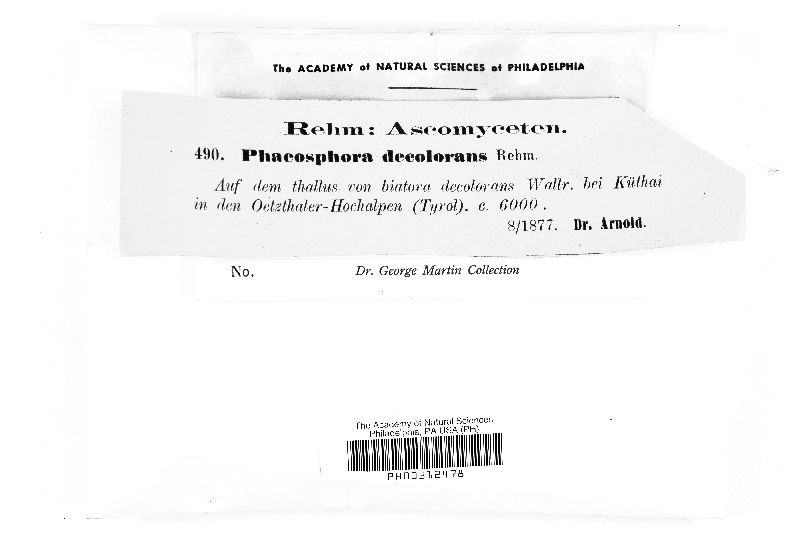 Phaeospora decolorans image