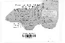 Pucciniastrum agrimoniae image