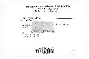 Phragmidium rubi-idaei image