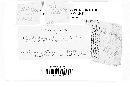 Phyllachora graminis image