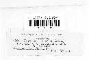 Craterium minutum image