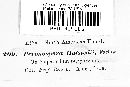 Plasmopara halstedii image