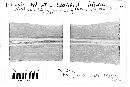 Glomerella tucumanensis image