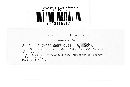 Microsphaera quercina image