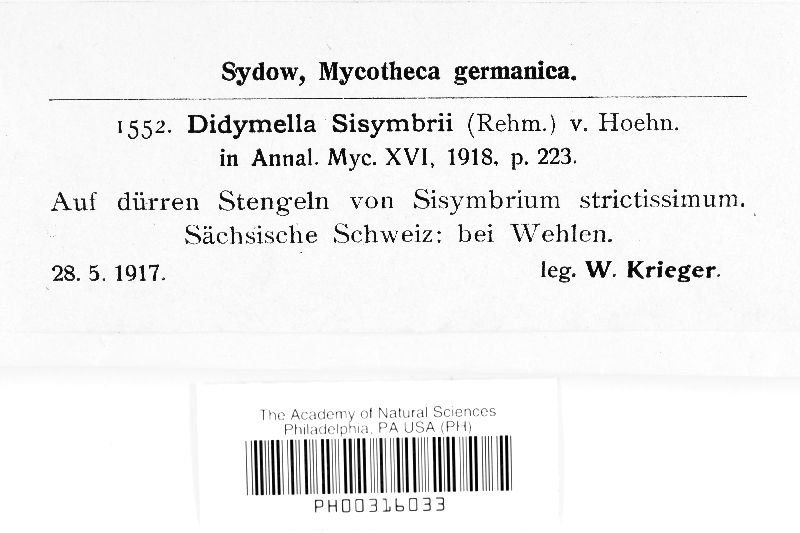 Didymella sisymbrii image