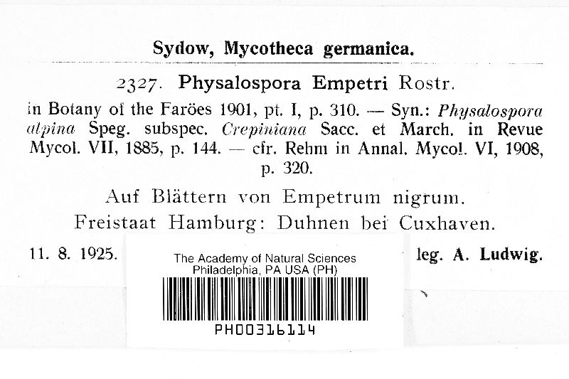 Physalospora empetri image