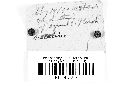 Daldinia concentrica image