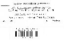 Cryptosporella suffusa image