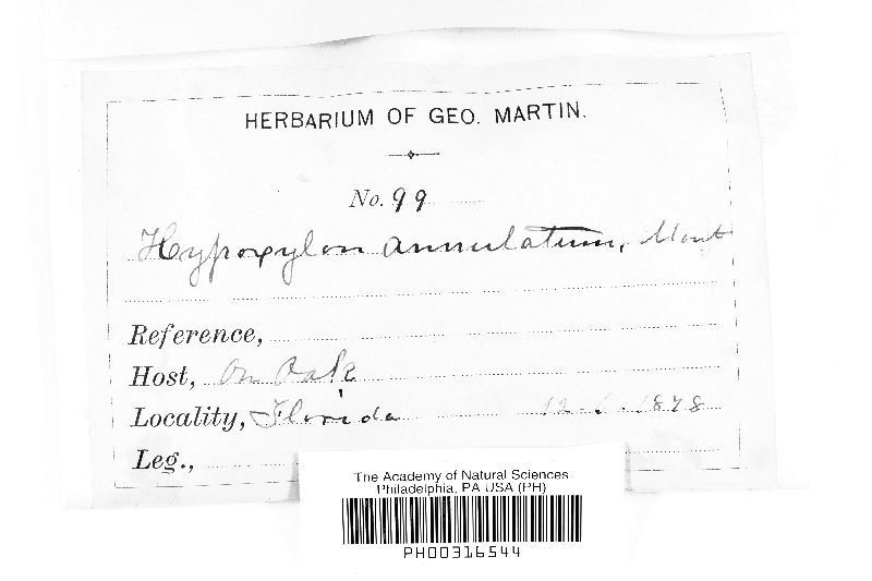 Annulohypoxylon annulatum image