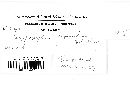 Hypoxylon perforatum image