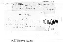 Hypoxylon rubiginosum image