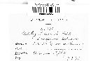 Ustilago ischaemi image
