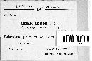 Ustilago ischaemi image