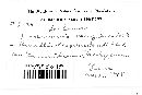 Burrillia decipiens image