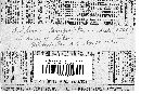 Entyloma compositarum image