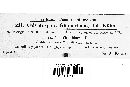 Pucciniastrum goeppertianum image