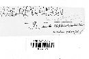 Coleosporium elephantopodis image