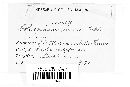 Coleosporium inulae image