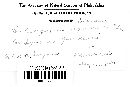 Coleosporium ipomoeae image