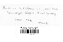 Coleosporium asterum image