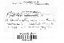 Gymnosporangium juvenescens image