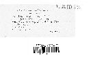 Puccinia consimilis image