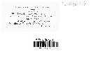 Puccinia convolvuli image