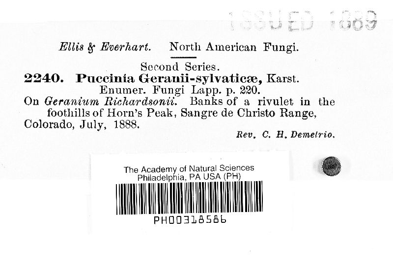 Puccinia geranii-sylvatici image