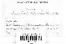 Puccinia helianthi image