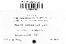 Puccinia calcitrapae image