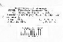 Puccinia limosae image