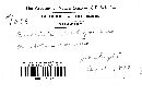Puccinia recondita image