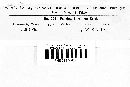 Puccinia bardanae image