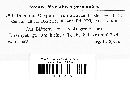 Puccinia crepidis-grandiflorae image