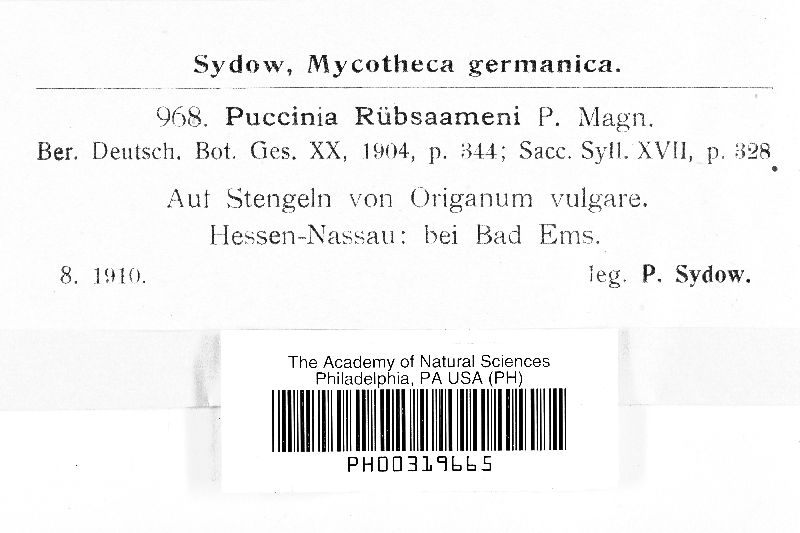 Puccinia thymi image
