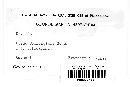 Coleosporium asterum image