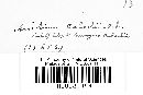 Uromyces caladii image