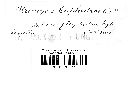 Uromyces euphorbiae image