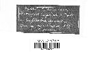 Uromyces euphorbiae image