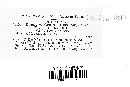 Uromyces pisi-sativi image