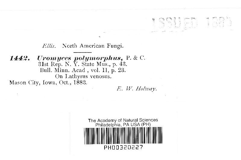 Uromyces polymorphus image